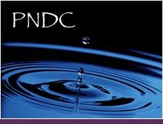 PNDC - A drop falling into a pool.